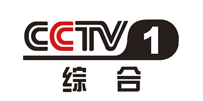 CCTV1.png